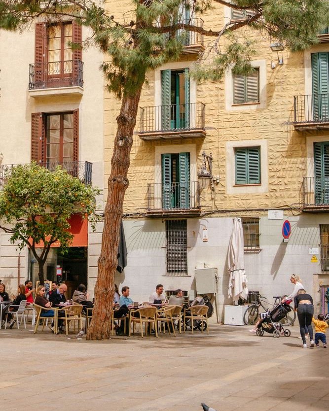 A square with a pine tree and orange trees, and people sitting on the terrace