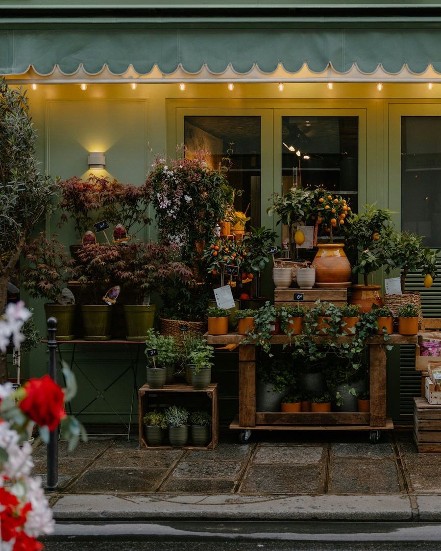 The shop front with a green awning, the lights on and plants on wooden shelves on the pavement