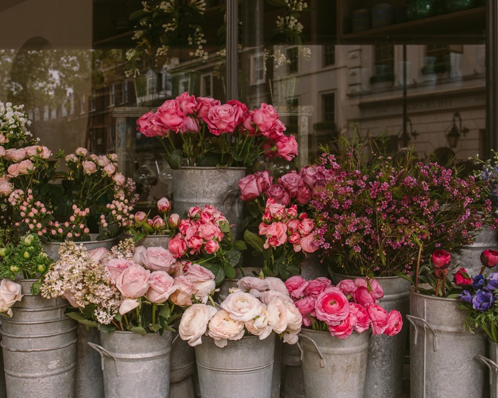 Zinc buckets of roses, ranunculus and waxflower at the florist’s door