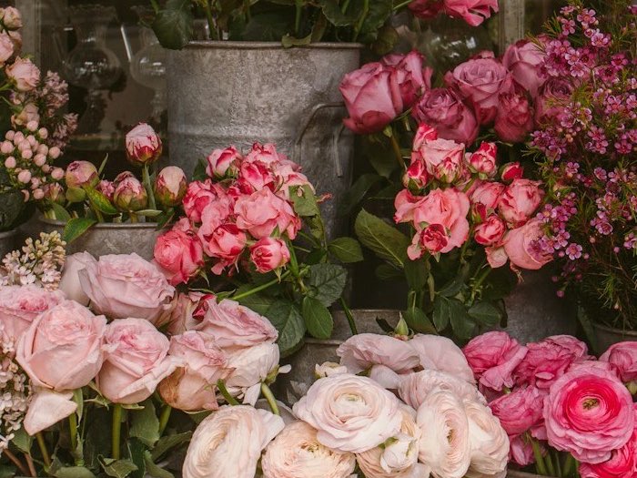 Pink roses in zinc buckets at the shop door