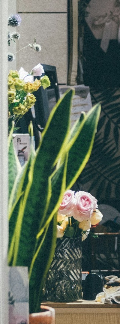 Roses in a cut-glass vase beside a sansevieria